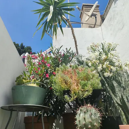 Historic Center Private Terrace * Málaga